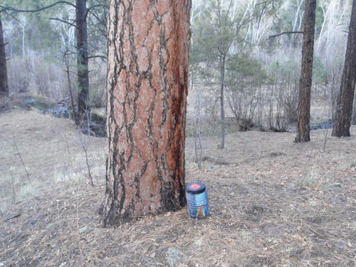 Bear Vault Food Storage.